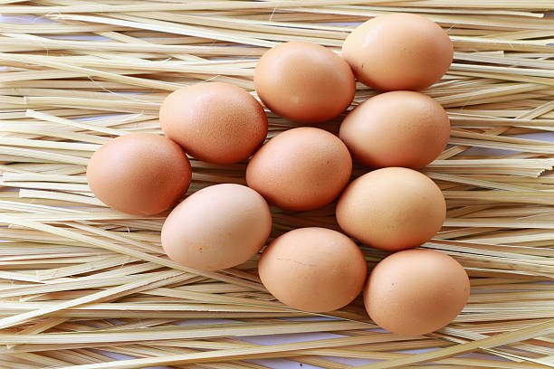 istock Egg and vegetables on the wood background 530744152