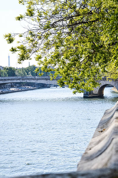 река сена и пон-де-ла турнель в париже - pont de la tournelle стоковые фото и изображения