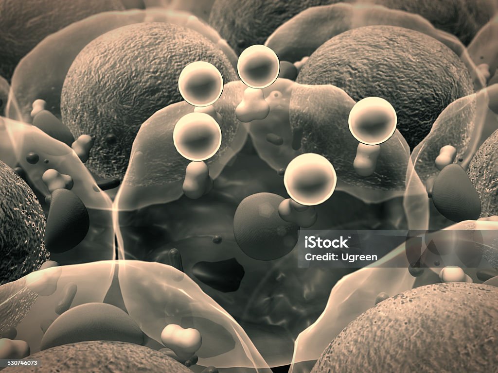 cells, cell structure field of cells, High quality 3d render of fat cells, cholesterol in a cells, field of cells, Cell division, Microscopic image of cells, 3d rendering, Cells, Medical video background  Adipose Cell Stock Photo