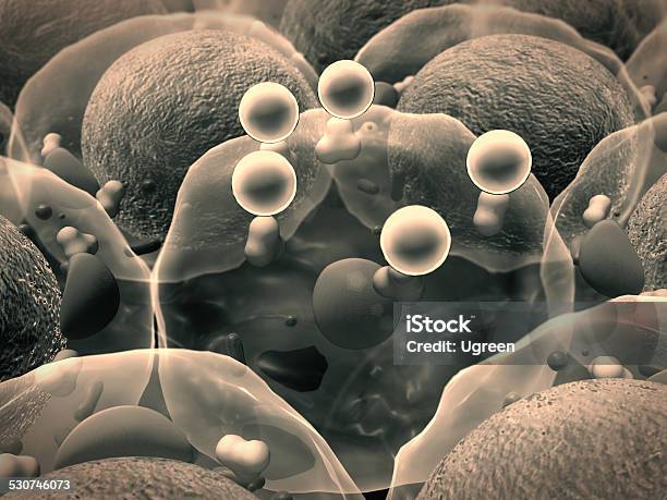 Cells Cell Structure Stock Photo - Download Image Now - Adipose Cell, Animal Zygote, Antibody