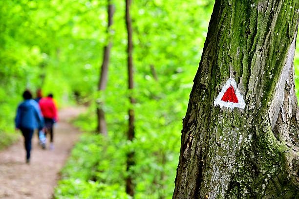 istock Hiking paint marking on a trail 530747942