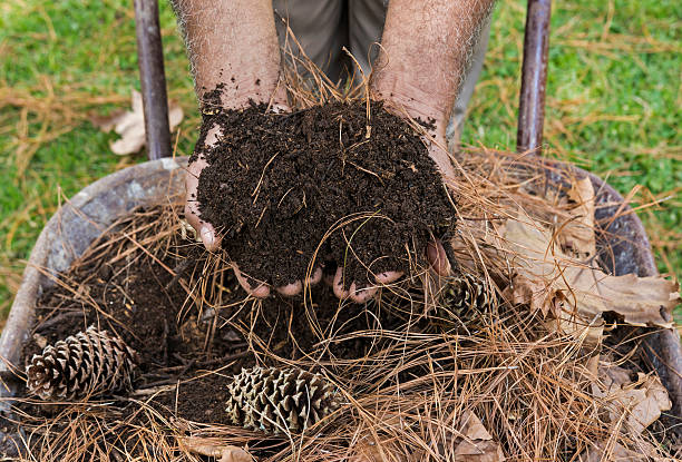 istock Senior man's hands holding ecologically soil over wheelbarrow 530748826