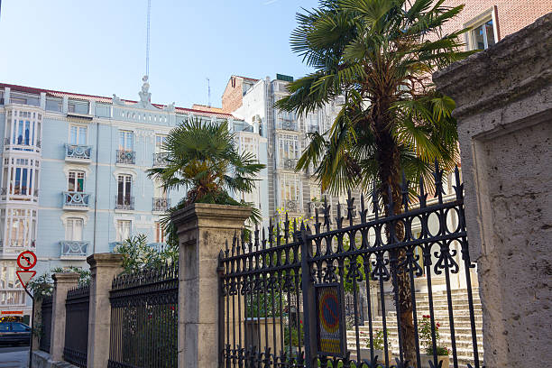 istock Black Gate of iron in a park with Palm trees 530751696