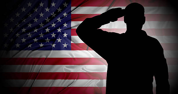 salutieren, usa-flagge - armed forces us veterans day military saluting stock-fotos und bilder