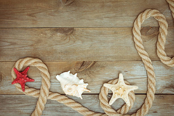 istock sea shells and rope on old boards 530752884