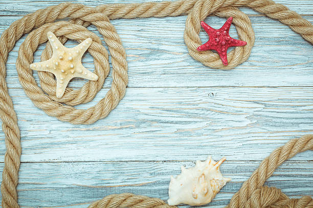 istock sea shells and rope on old boards 530753018