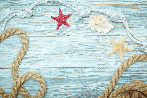 istock sea shells and rope on old boards 530753346
