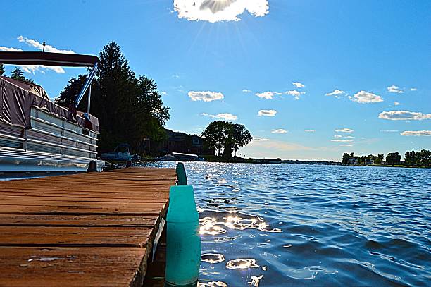 Basking in the sun by the edge of the dock