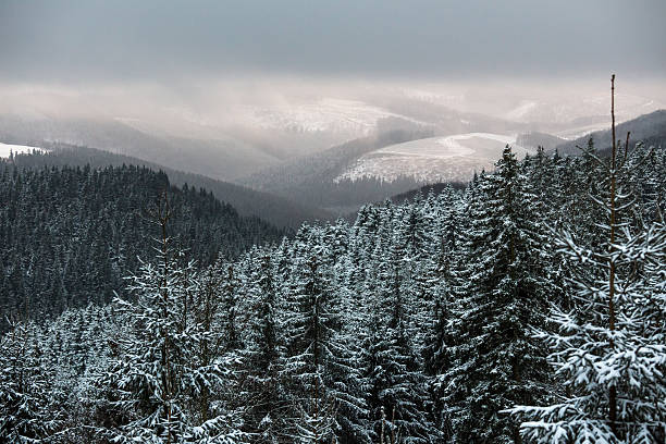 istock kahler asten winter landscape in germany 530756089