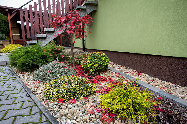 autumn colors composition in home garden, Czech Republic