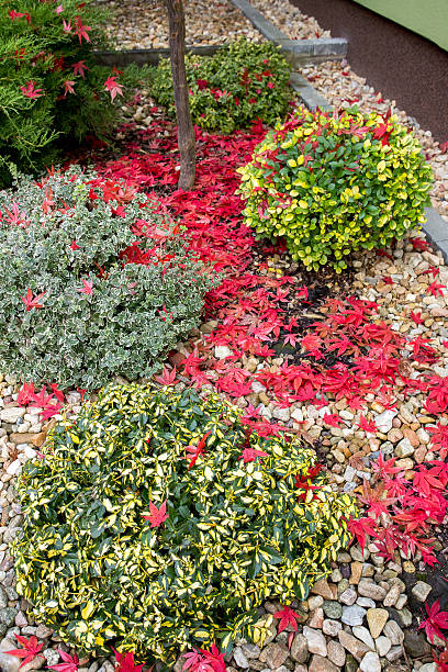 istock autumn colors composition in home garden 530756147