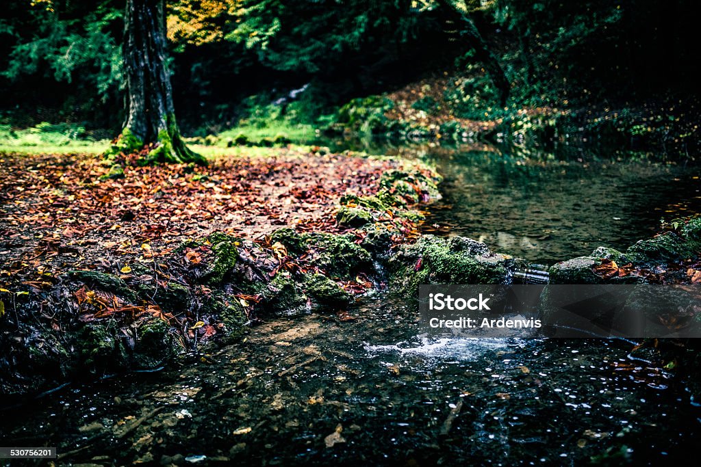 Piccola cascata circondato da foglie d'autunno, Parco di monza - Foto stock royalty-free di Acqua