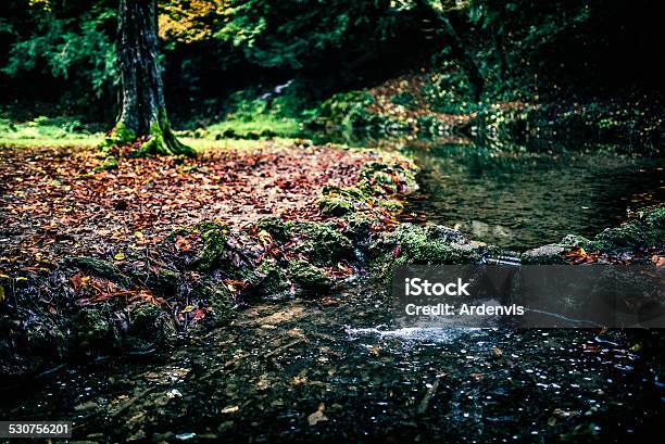 Piccola Cascata Circondato Da Foglie Dautunno Parco Di Monza - Fotografie stock e altre immagini di Acqua