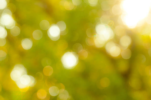istock The Abstract Natural Bokeh,blurred bokeh. 530756901