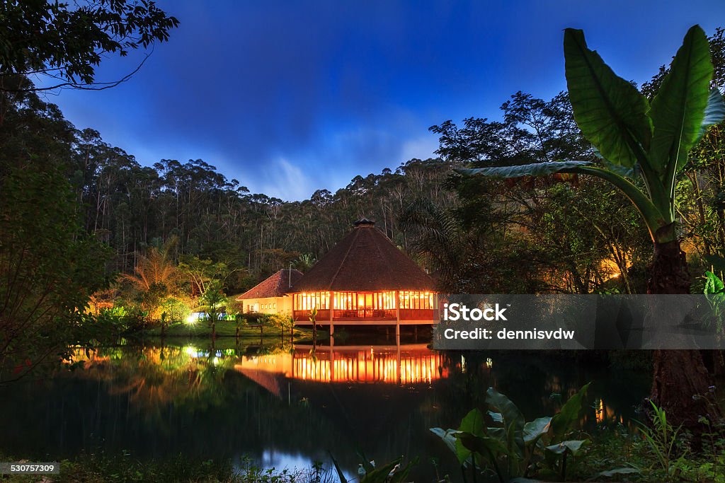 Jungle lodge nuit - Photo de Maison forestière libre de droits