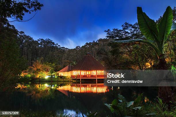 Photo libre de droit de Jungle Lodge Nuit banque d'images et plus d'images libres de droit de Maison forestière - Maison forestière, Afrique, Forêt pluviale