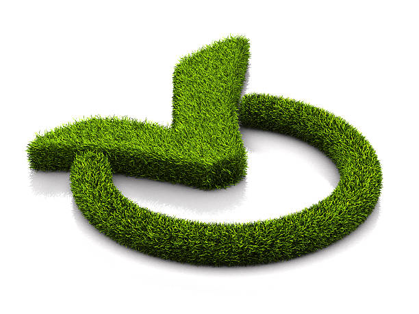 istock Green grassed check mark symbol in the circle on white 530757460
