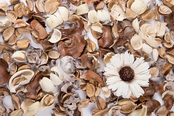 Potpourri layed out on white surface
