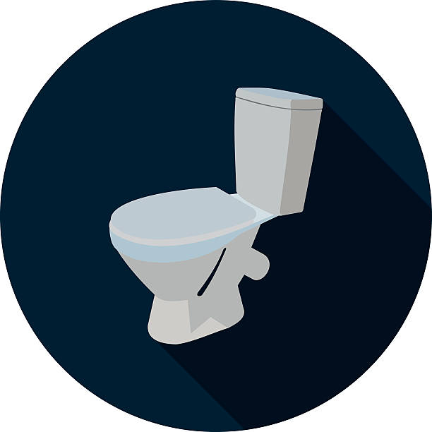 ilustraciones, imágenes clip art, dibujos animados e iconos de stock de 3d icono plano sanitario - women bathtub bathroom water