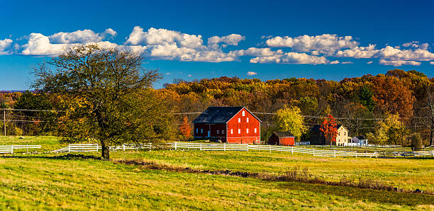 albero e fienile sul campo di battaglia di gettysburg, pennsylvania. - gettysburg pennsylvania usa history foto e immagini stock