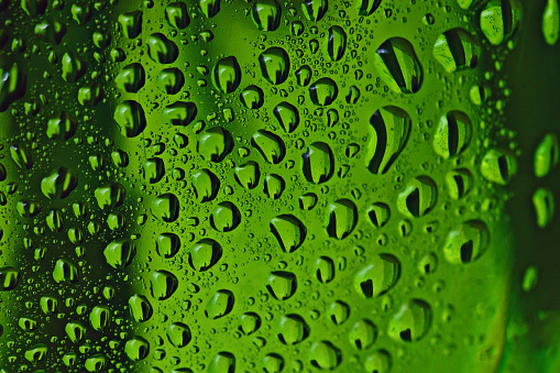 Fresh green background drops
