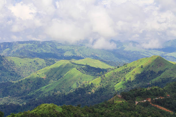 istock Landscape on the mountain in Thailand. 530760134