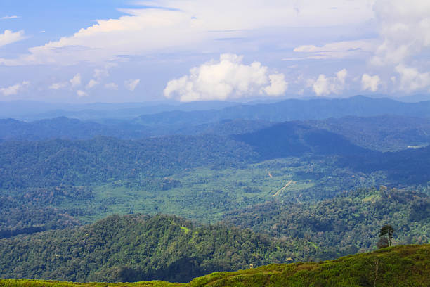 istock Landscape on the mountain in Thailand. 530760544