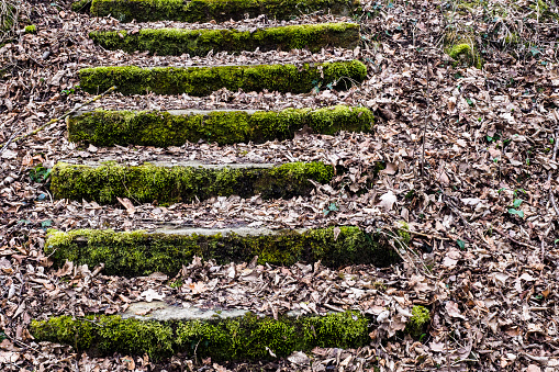 Ancient steps, almost no one uses them anymore. Soon they will be gone. Photograph taken near Rechtenstein, Baden-Württemberg, Germany.