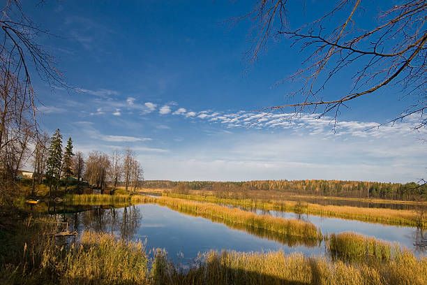 istock Colorful autumn landscape 530763746