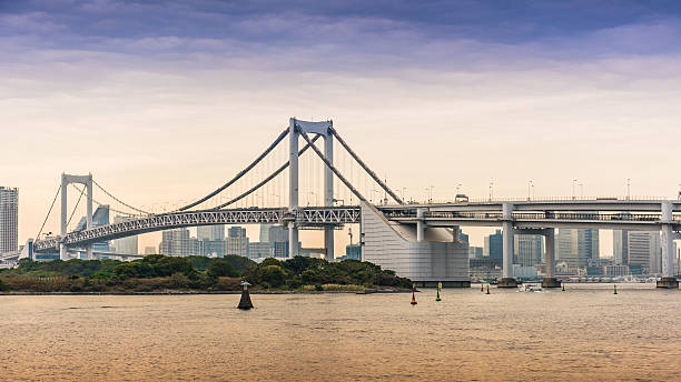 istock Rainbow Bridge in Odaiba, Tokyo 530765689