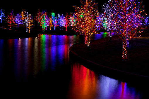 Trees tightly wrapped in LED lights for the Christmas holidays reflecting in lake. Each tree is wrapped in one color.