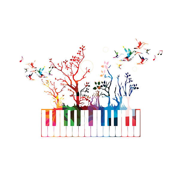 nền âm nhạc đầy màu sắc với bàn phím piano và chim ruồi - dương cầm bàn phím âm nhạc hình minh họa sẵn có