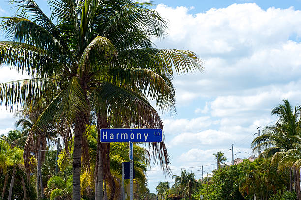 istock Harmony Lane street sign 530766840