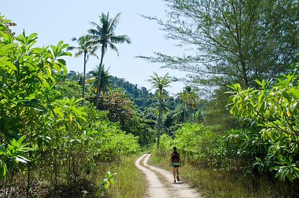 istock Thai Island Backcountry Walk 530766989