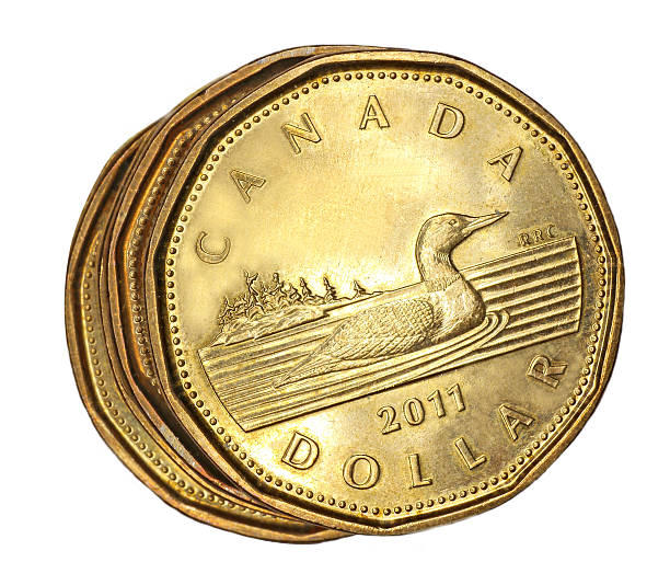 canadian dollar coin - endollarsmynt kanadensiskt mynt bildbanksfoton och bilder