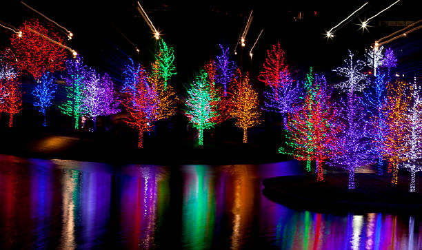 Trees wrapped in LED lights for Christmas (abstract)