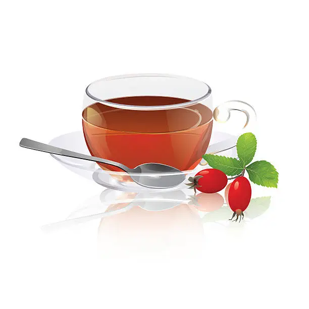 Vector illustration of Rose hips tea