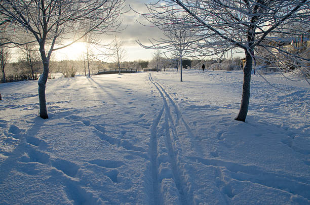 istock Fresh tracks in snow on a cold winter day. 530770257