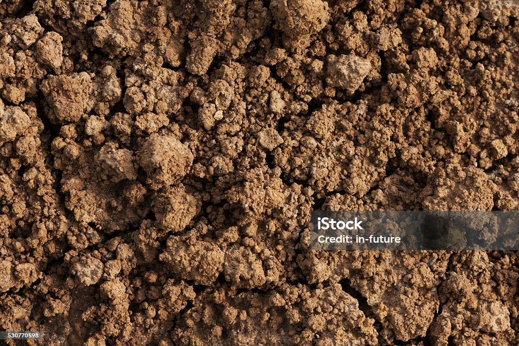 Bad Soil Background Soil Background Stock Photo - Download Image Now - Backgrounds, Cracked ...