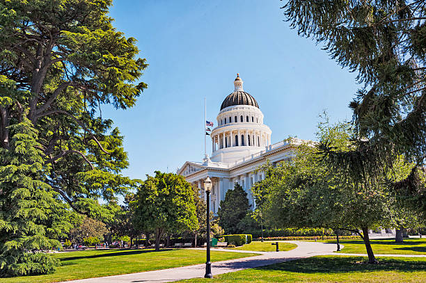 istock California Capitol with flags at Half Staff 530771197