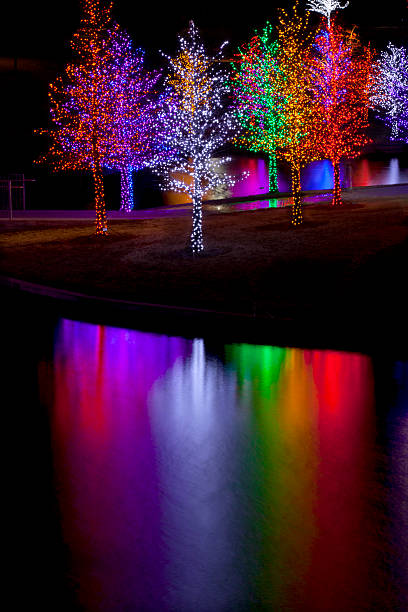 istock Trees wrapped in LED lights for Christmas 530771215