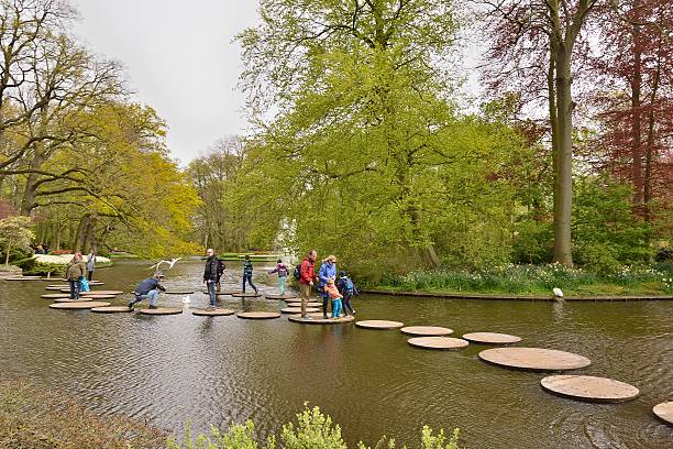 Scenic view of a calm lake with wild ducks swimming in a natural setting. Ideal for projects focused on wildlife, nature conservation, eco tourism, and outdoor relaxation. The image captures tranquility, natural beauty, and harmony with the environment.
