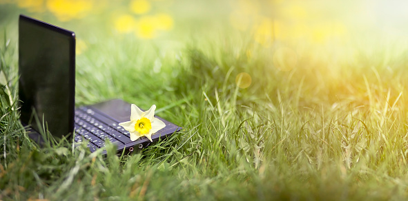 Website banner of a laptop with spring flower