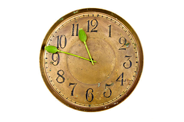 istock time concept -  poppy head arrows on clock  dial 530776879