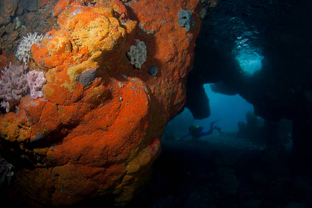 istock Tenerife underwater sea cave. 530779001