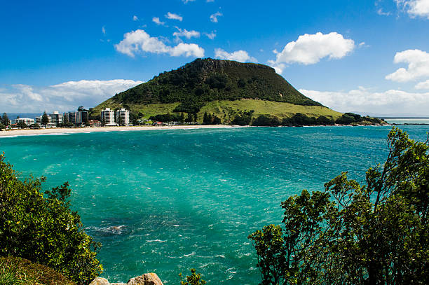 tauranga - tauranga imagens e fotografias de stock