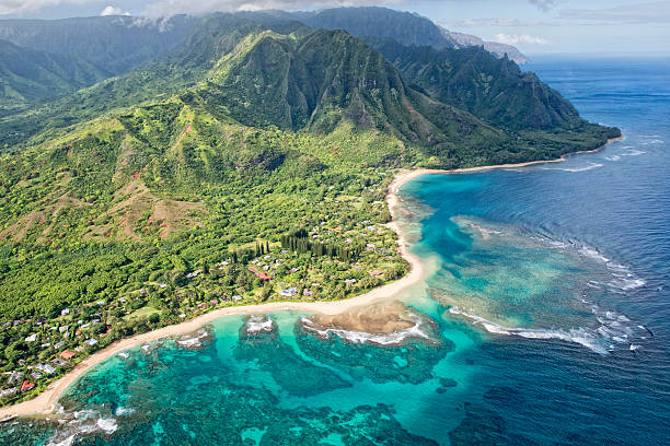 kauai napali coast vista aérea de helicóptero - natural tunnel state park fotografías e imágenes de stock