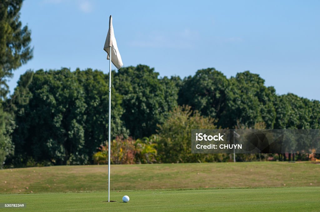 Next hole Clean approach to the hole in one 2015 Stock Photo
