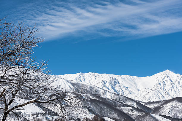 istock Winter Hakuba landscape 530783823
