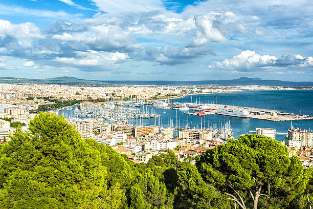 istock Skyline of Palma de Mallorca 530796079